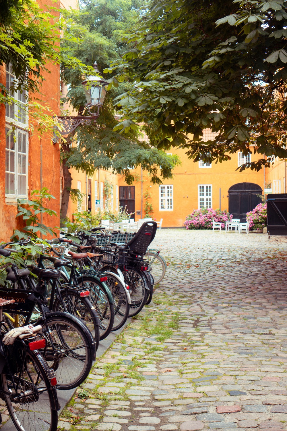 Bikes parked in a cobbled courtyard