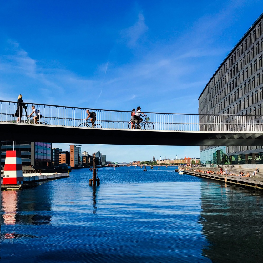 The Harbour Loop
